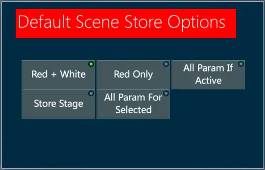 Default-Scene-Store-Options